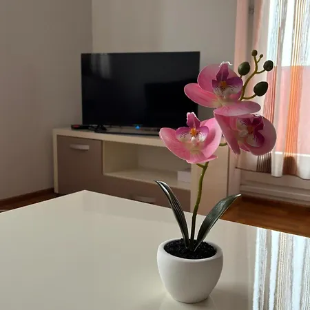 Apartamento Centar Pale